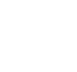 incinerare animale ecologic