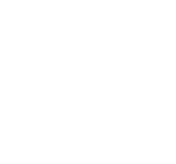 incinerarea animalelor individuala